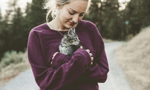 Est-ce bien d’avoir deux chats ?